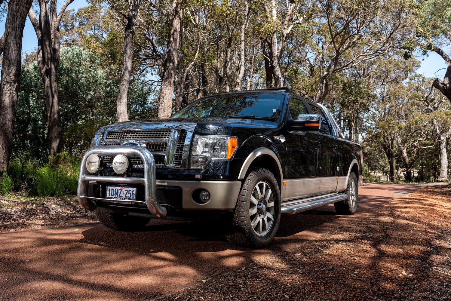 Black Ford F150 photographed in a wooded outdoor setting
